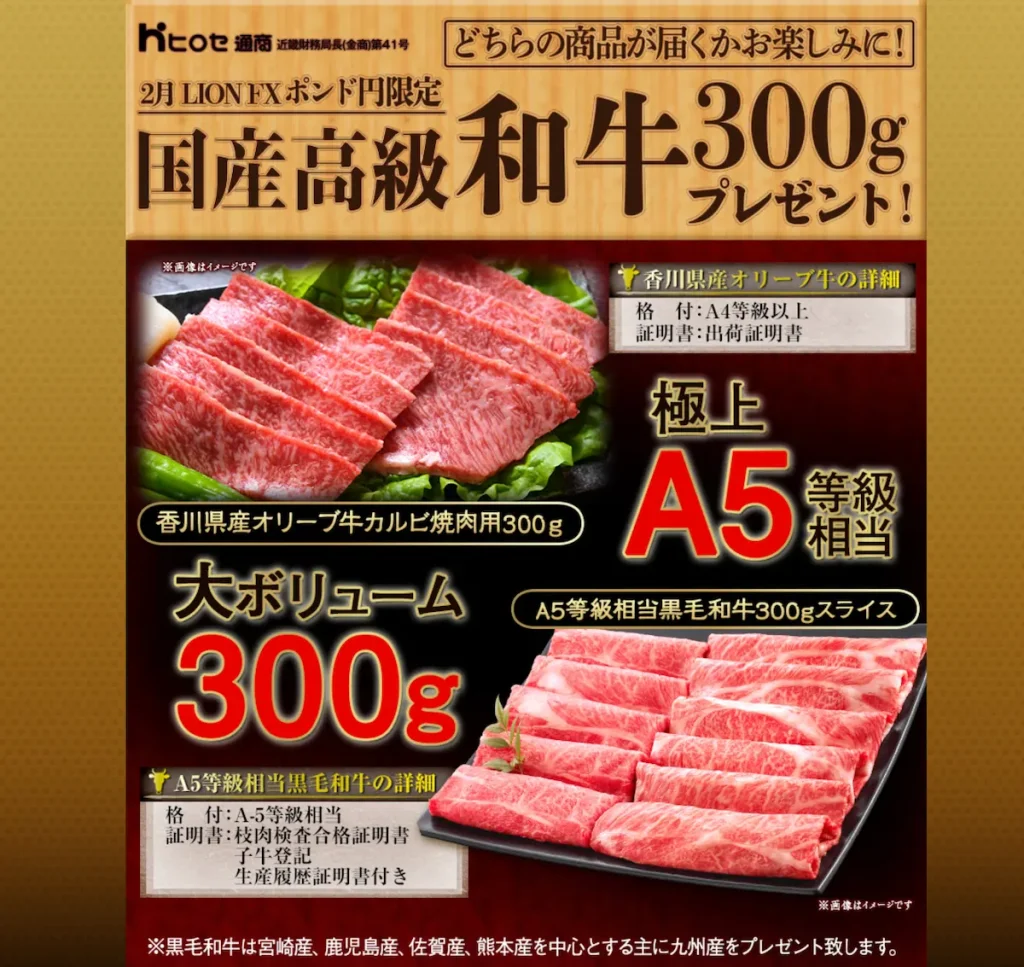 FX会社ヒロセ通商食品キャンペーン国産高級和牛プレゼント