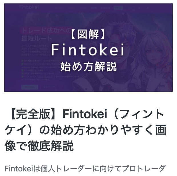 フィントケイとは始め方解説